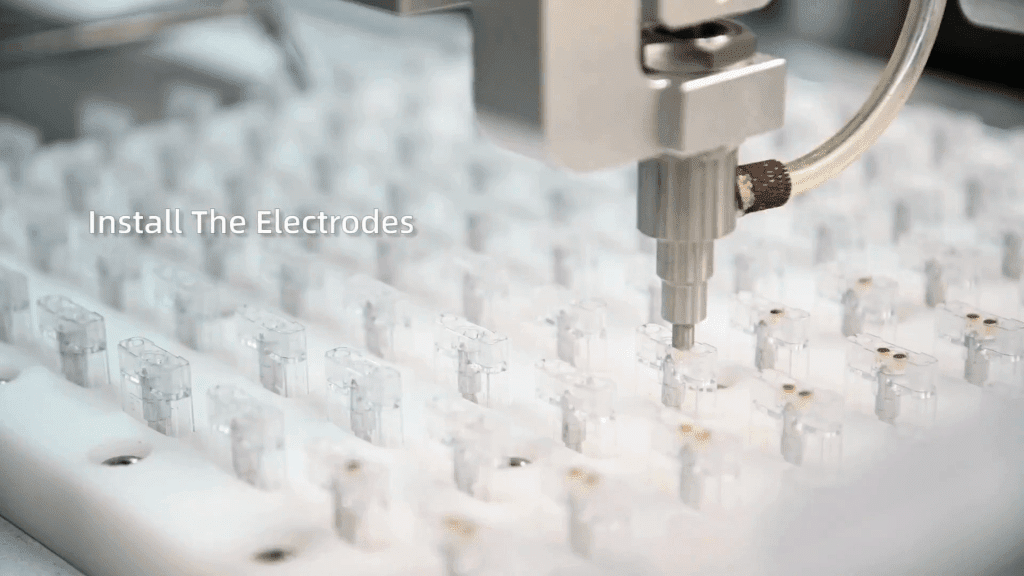 BOOD Twins Bulk Packaging