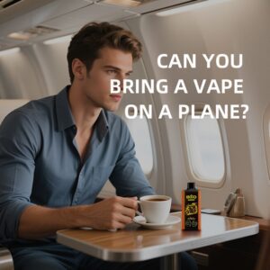 Can You Bring a Vape on a Plane 1