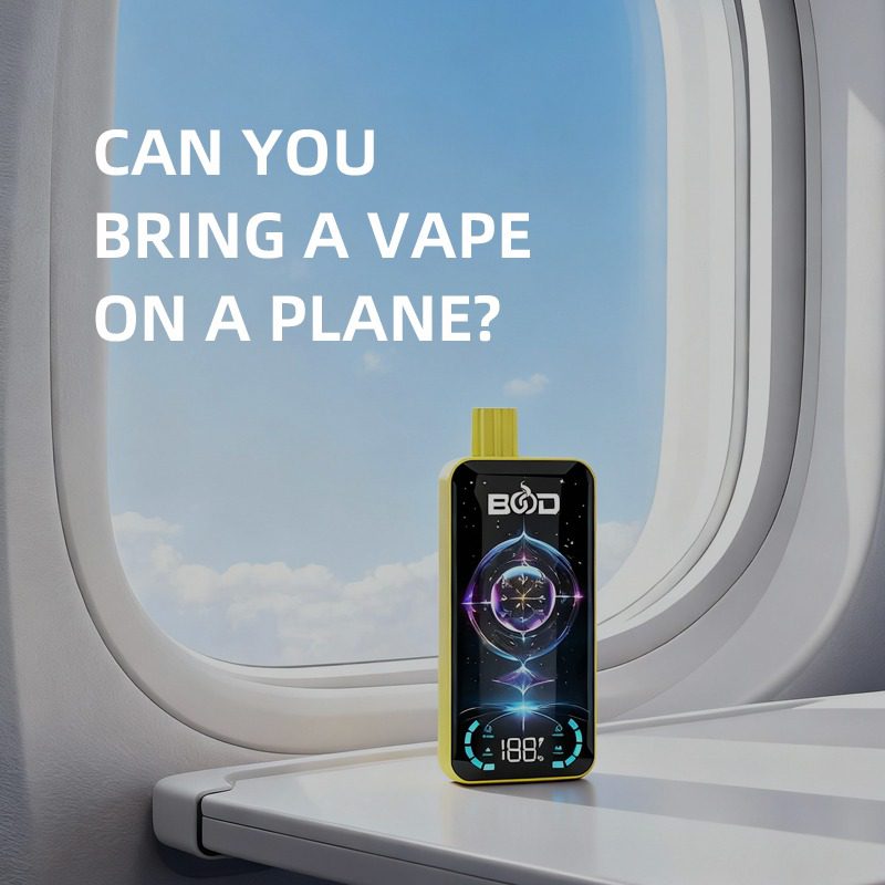How Many Vapes Can You Bring on a Plane
