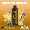 Blueberry Lemonade