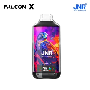 JNR Falcon X 18000 puffs23