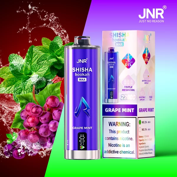 JNR Shisha Max 22000 Puffs Original DTL Disposable Vape Pen