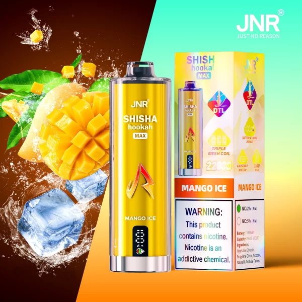 JNR Shisha Max 22000 Puffs Original DTL Disposable Vape Pen