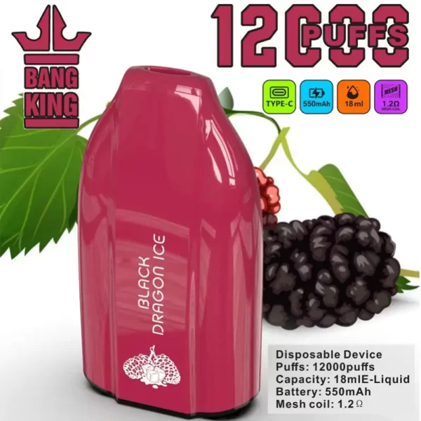 BANG KING 12000 Puff Disposable Vape