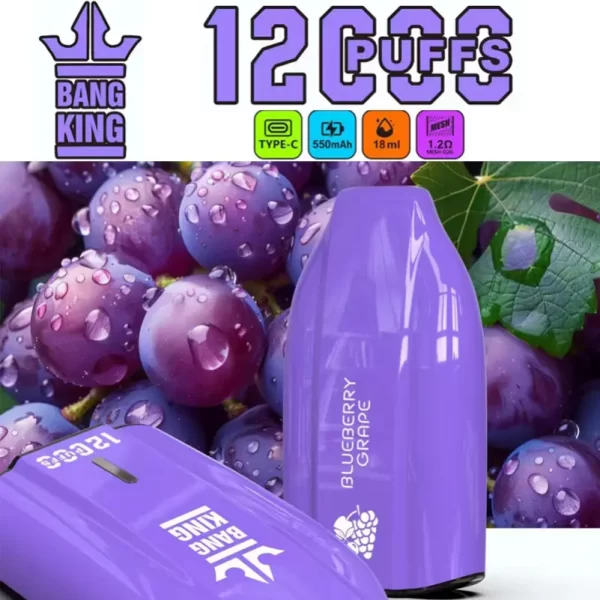 BANG KING 12000 Puff Disposable Vape