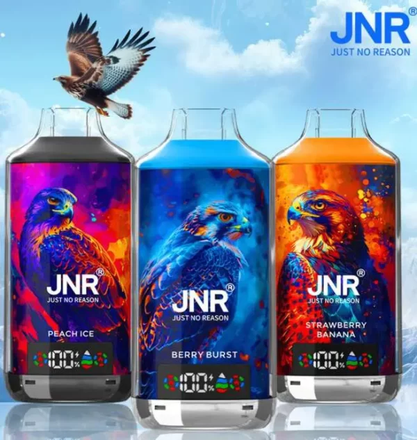 JNR Falcon X 18000 Puff Einweg Vape