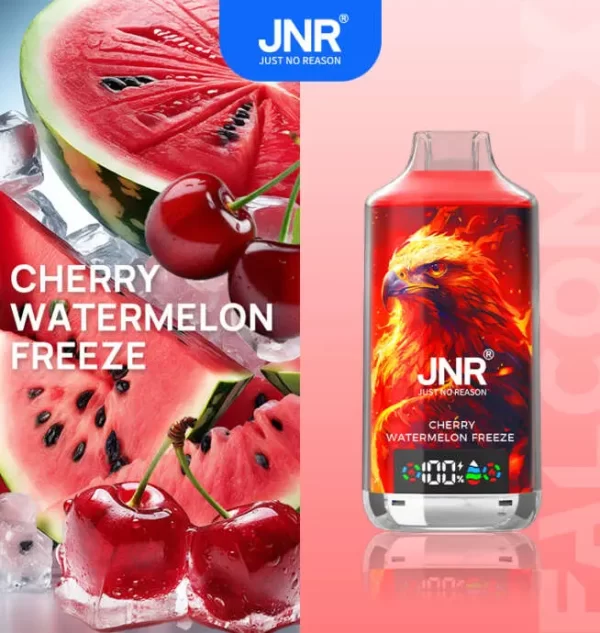 JNR Falcon X 18000 Puff Einweg Vape