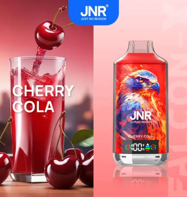 JNR Falcon X 18000 Puff Einweg Vape