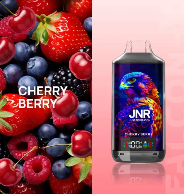 JNR Falcon X 18000 Puff Einweg Vape