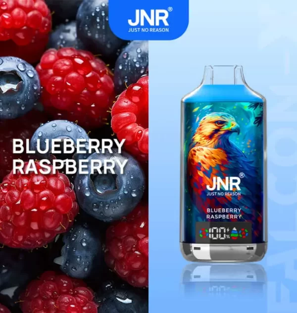 JNR Falcon X 18000 Puff Einweg Vape