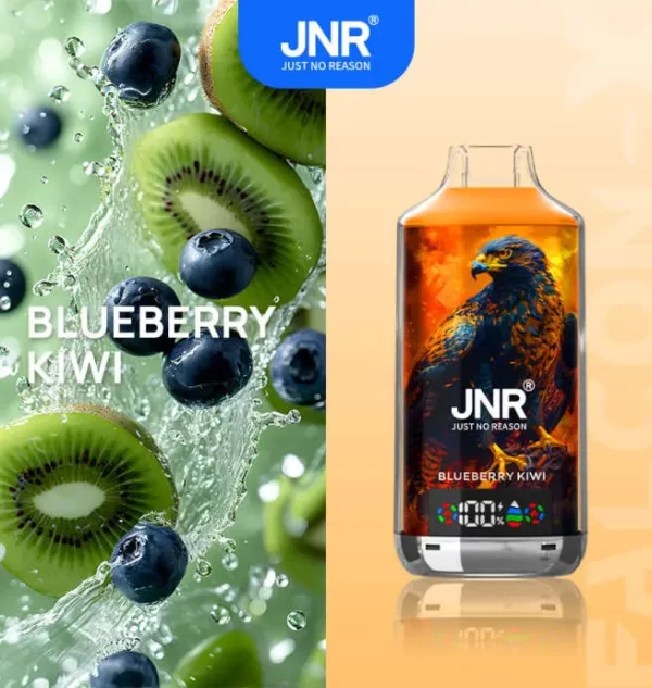 JNR Falcon X 18000 Puff Einweg Vape