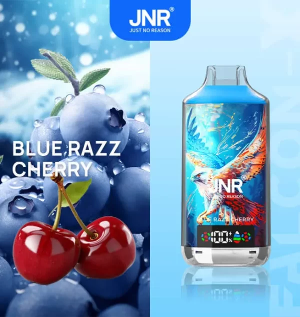 JNR Falcon X 18000 Puff Einweg Vape