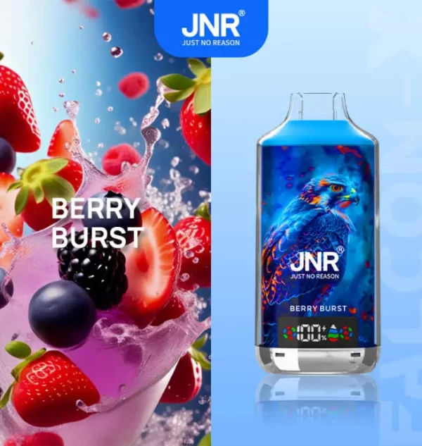 JNR Falcon X 18000 Puff Einweg Vape