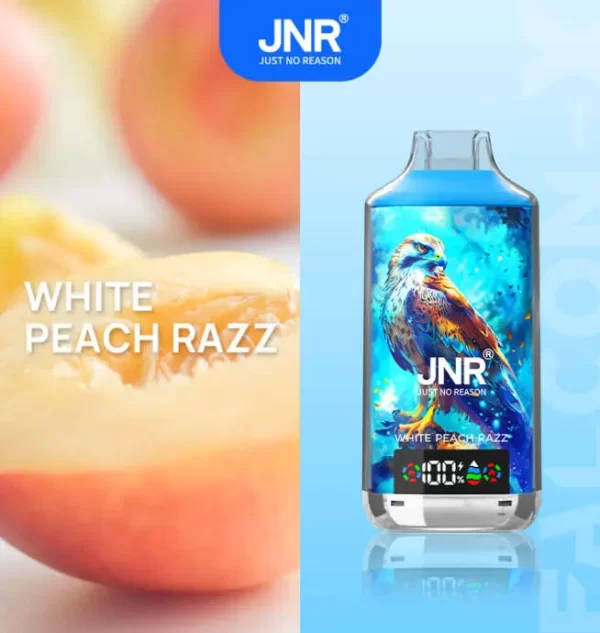 JNR Falcon X 18000 Puff Einweg Vape