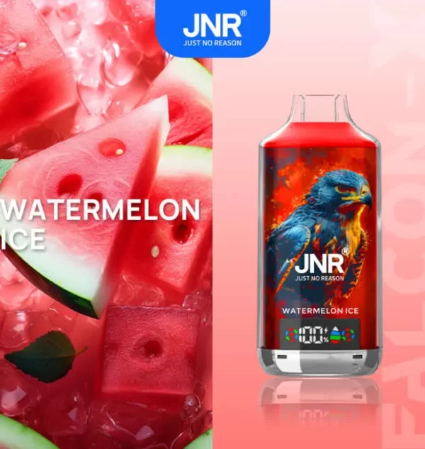 JNR Falcon X 18000 Puff Einweg Vape