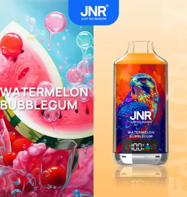 JNR Falcon X 18000 Puff Einweg Vape