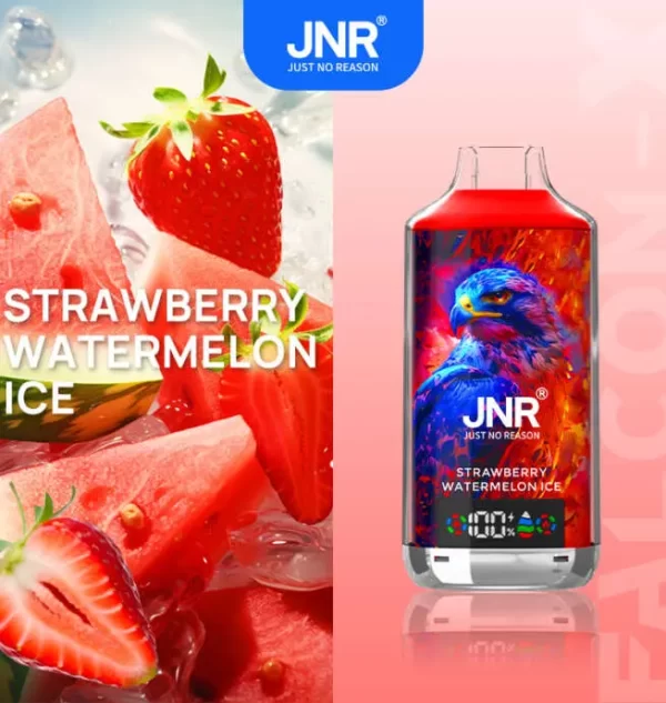 JNR Falcon X 18000 Puff Einweg Vape