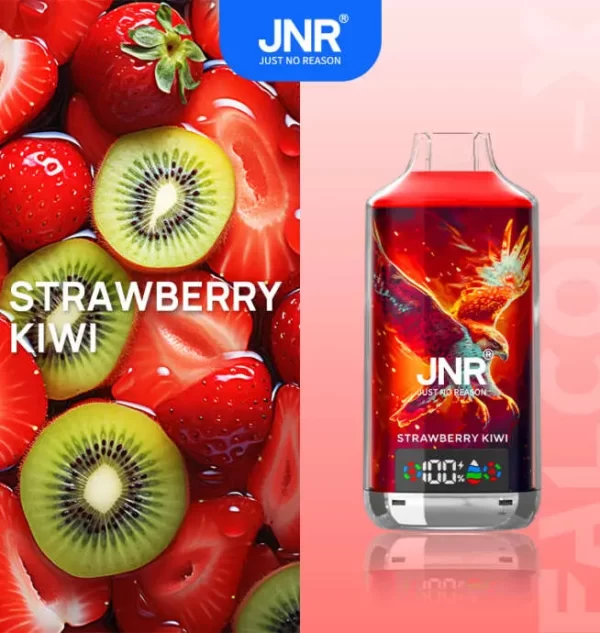 JNR Falcon X 18000 Puff Einweg Vape