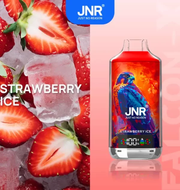 JNR Falcon X 18000 Puff Einweg Vape