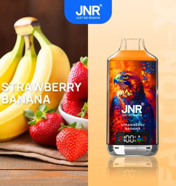 JNR Falcon X 18000 Puff Einweg Vape