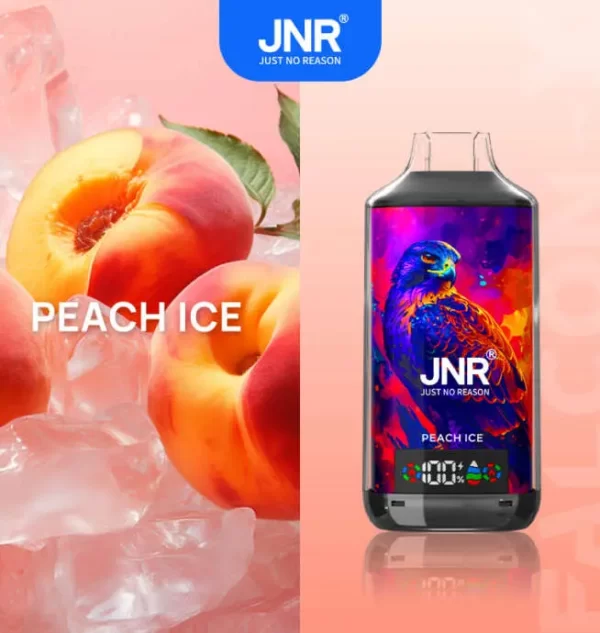 JNR Falcon X 18000 Puff Einweg Vape