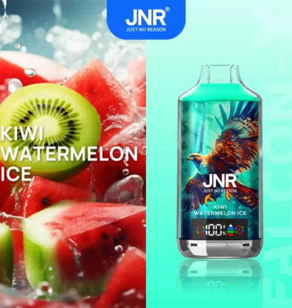 JNR Falcon X 18000 Puff Einweg Vape