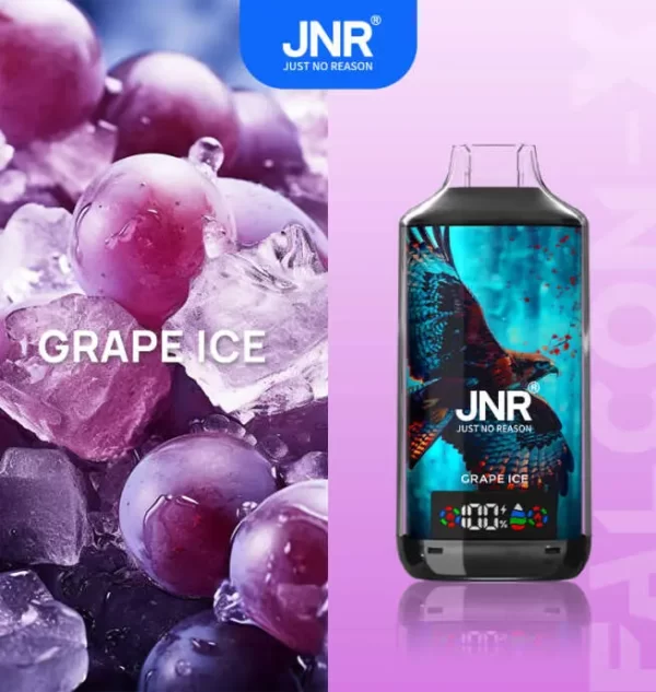 JNR Falcon X 18000 Puff Einweg Vape