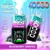 BANG 40000 PUFFS Disposable Vape