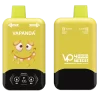 VAPANDA TWINS 40000 PUFFS Disposable Vape 
