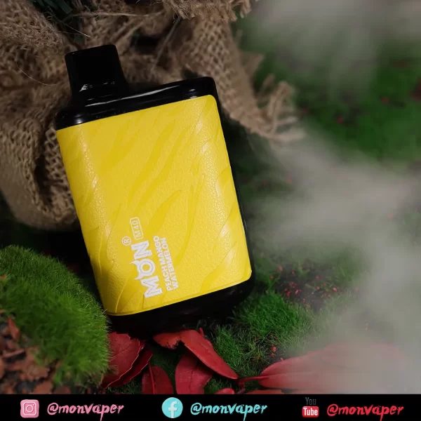 Monvaper M40000 Puffs Disposable Vape