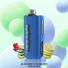 VAPEPIE MAX 40000 bouffées Vape jetable