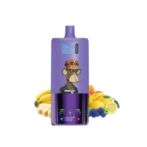 Rahdm P30 ~ 3in1 60000 Puffs Disposable Vape